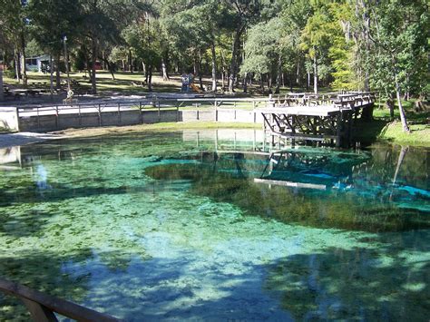 blue springs state park webcam|Blue Spring State Park